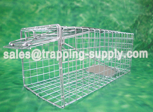 Squirrel Cage Trap