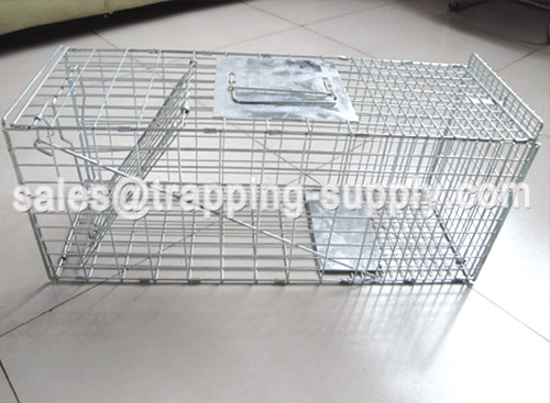 New design foldable cat trap cage