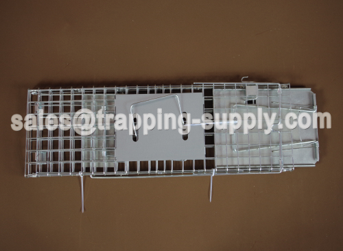 Foldable Squirrel Cage Trap