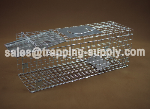 Foldable Squirrel Cage Trap