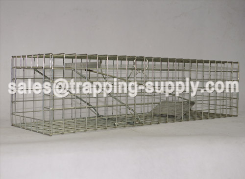 Squirrel/Mink Cage Trap