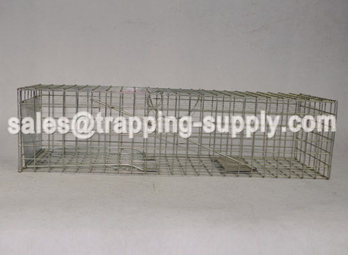 Squirrel/Mink Cage Trap