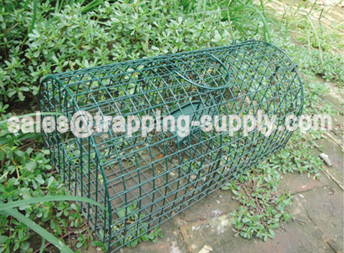 Monarch Rat Trap Cages