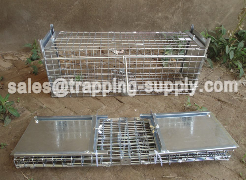 Humane Live Foldable Catch Squirrel Cage Trap 