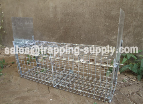 Humane Live Foldable Catch Squirrel Cage Trap 