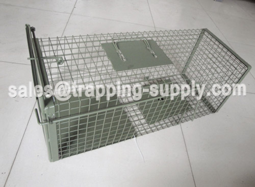 Strong Feral cat Trap cage Green Color