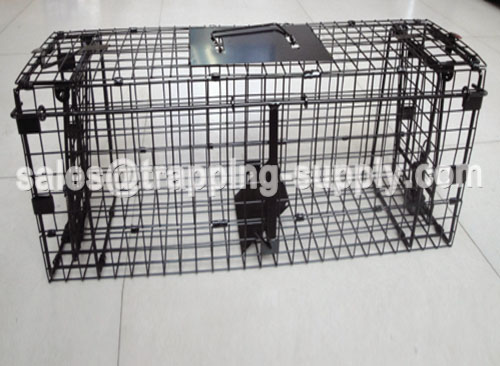 Collapsible Double Door Squirrel Cage Trap