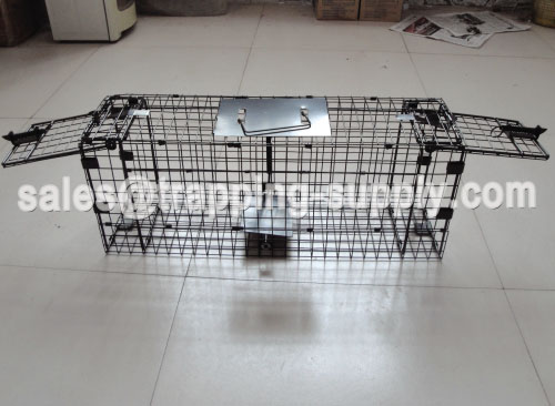 Collapsible Double Door Squirrel Cage Trap