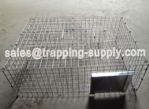 Routeway Red Squirrel Trap Cage