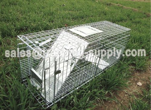 Folding Live Animal Trap Cage For Raccoon