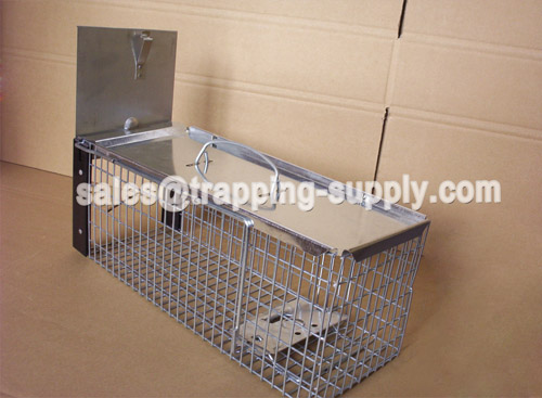 Metal Plate Rat Trap Cage