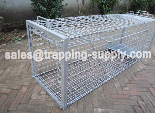 Foldable Heavy Duty Fox Cage Trap