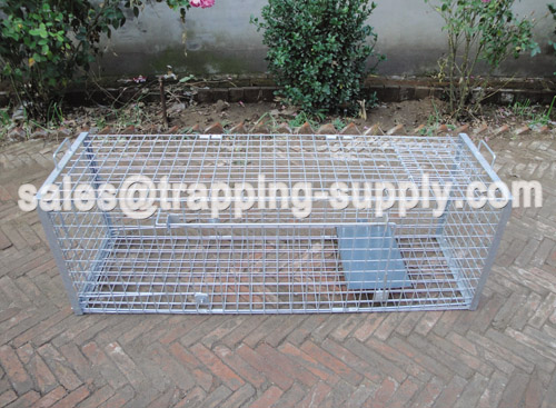 Foldable Heavy Duty Fox Cage Trap