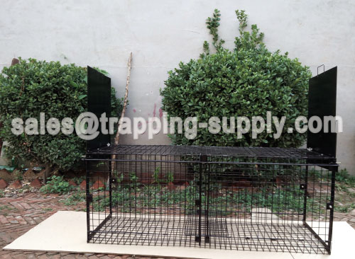 Double Door Entry Folding Fox Trap Cage