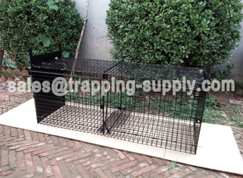 Double Door Entry Folding Fox Trap Cage