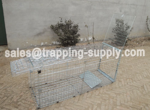 Foldable Fox Trap Cage With Released Door