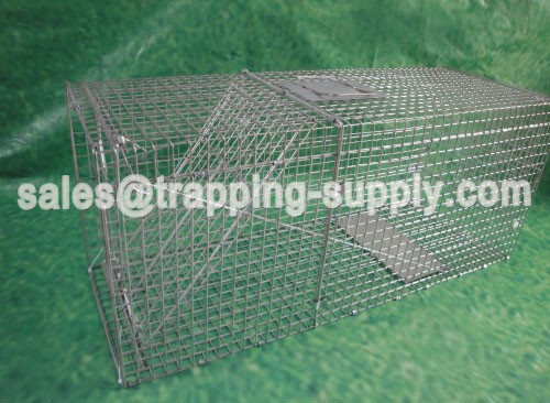 Folding Fox Cage Trap