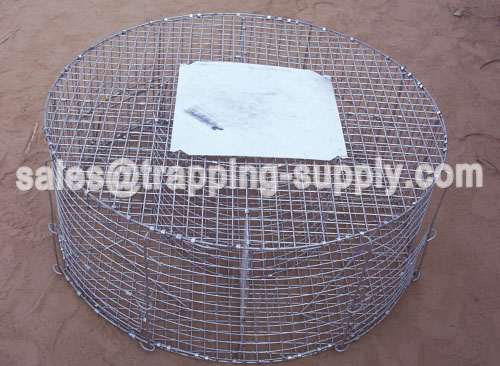 Multi-catch Round Magpie Trap Cage