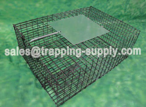 Galvanized sparrow Cage Trap