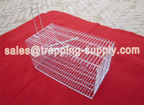 Small Single Door Rat Cage Trap