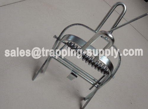 Talpa mole trap