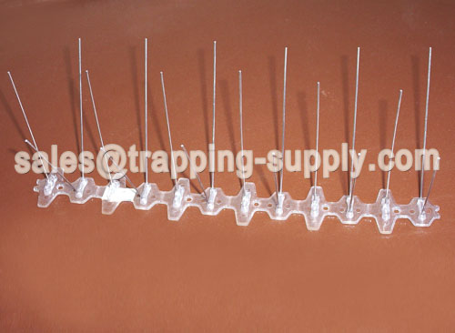 Polycarbonate Base Stainless steel Bird Spike