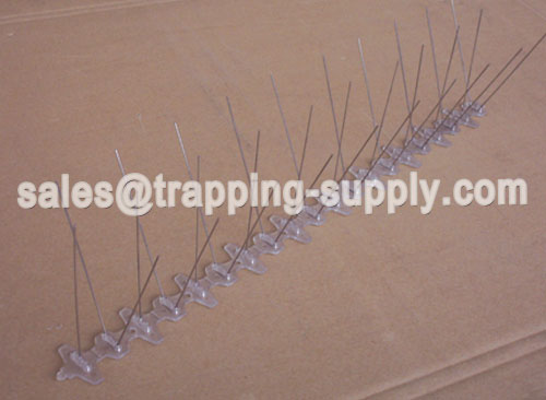 Polycarbonate Base Stainless steel Bird Spike