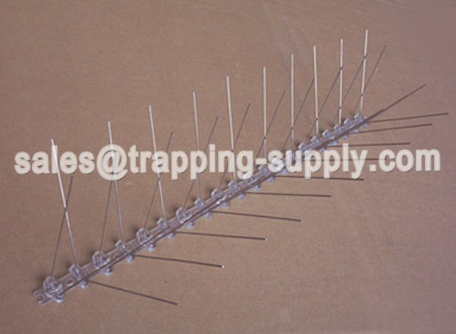 Polycarbonate Base Stainless steel Bird Spike