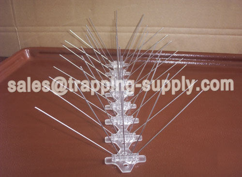 Polycarbonate Base Stainless steel Bird Spike