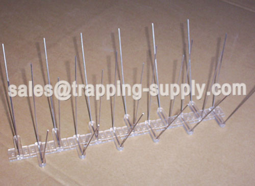 Polycarbonate Base Stainless steel Bird Spike