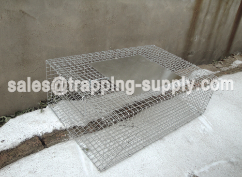 Snake Trap Cage with Released Door