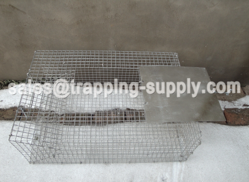 Snake Trap Cage with Released Door