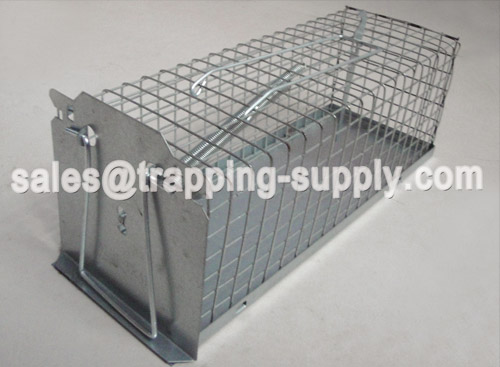 Small Single Rat Cage Trap